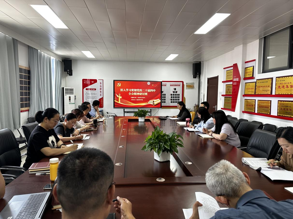绿色化工与新材料304永利集团官网入口党总支开展党的二十届四中全...